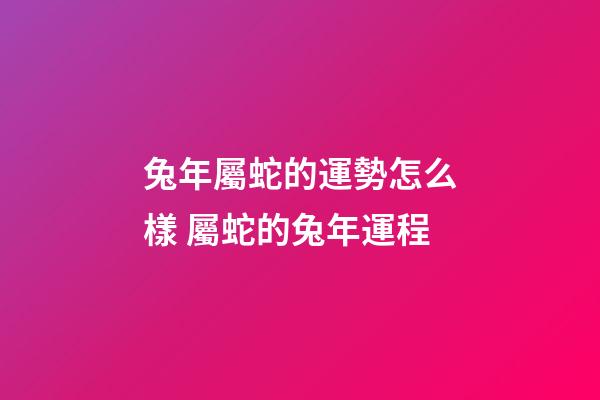 兔年屬蛇的運勢怎么樣 屬蛇的兔年運程-第1張-觀點-玄機派